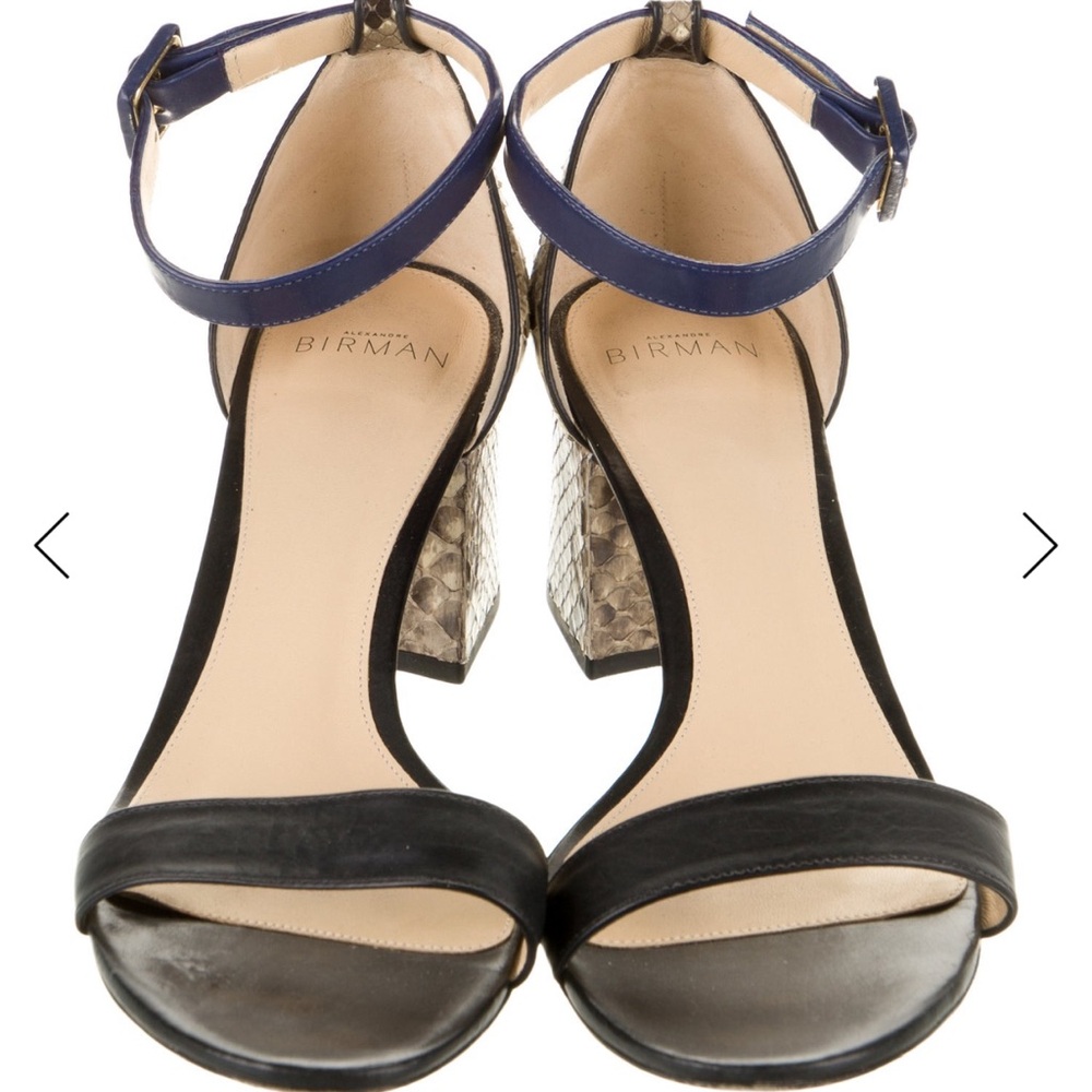 Alexandre Birman Blue and Brown Heels - Picture 3 of 7